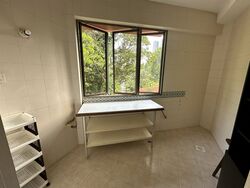 Balmoral Luck (D10), Condominium #599279801